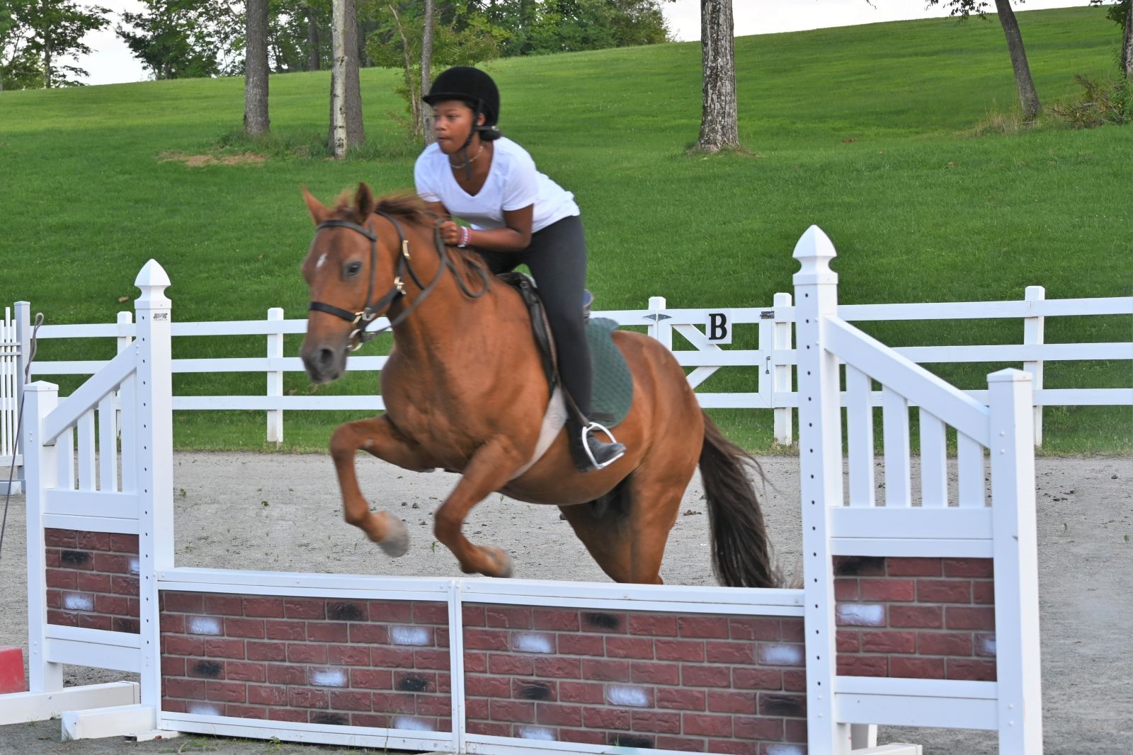 EQUESTRIAN PROGRAM